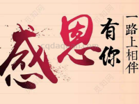 致敬所有的传奇主播，感恩一路走来的武家人
